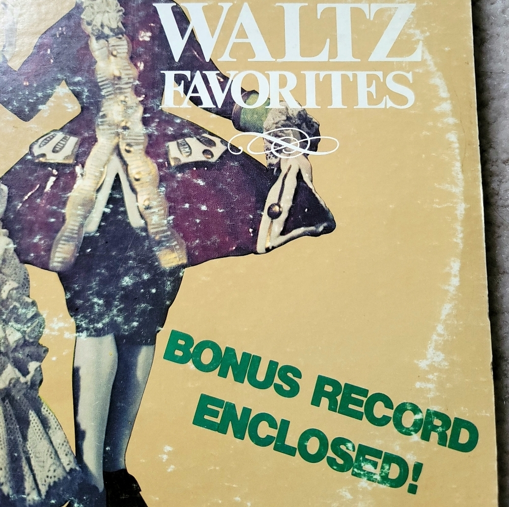 Vinyl Record - 100 Waltz Favorites with Bonus Record Enclosed - 4 x LPs